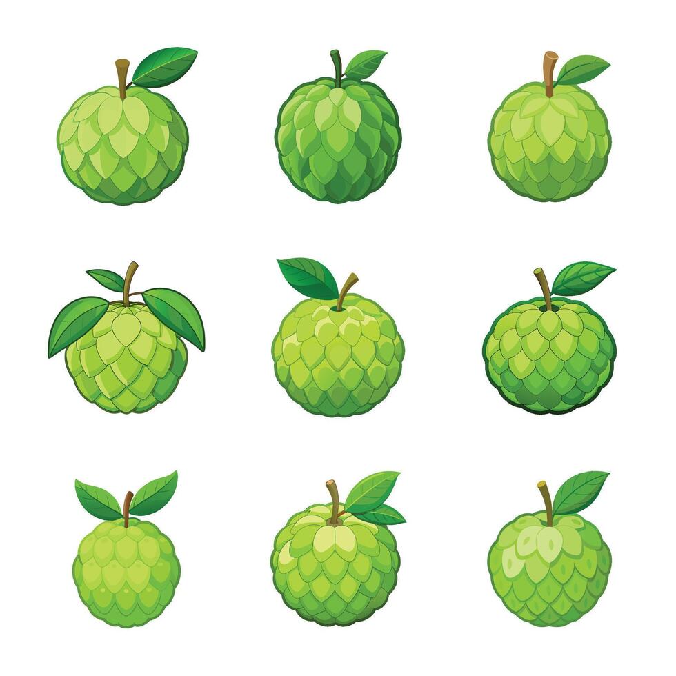Set of duarian fruit isolated on white vector