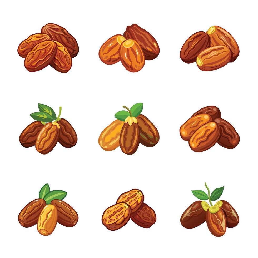 Date fruit collection vector