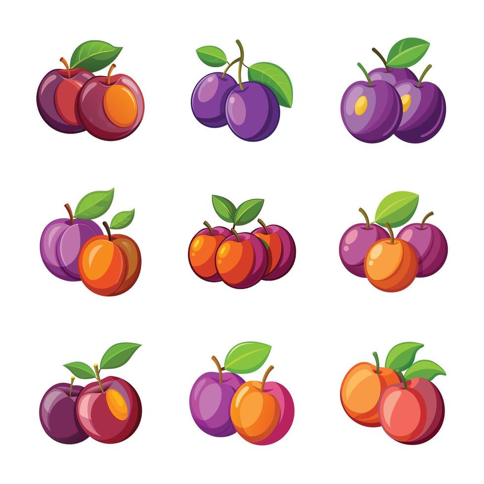 Realistic fruit collection vector