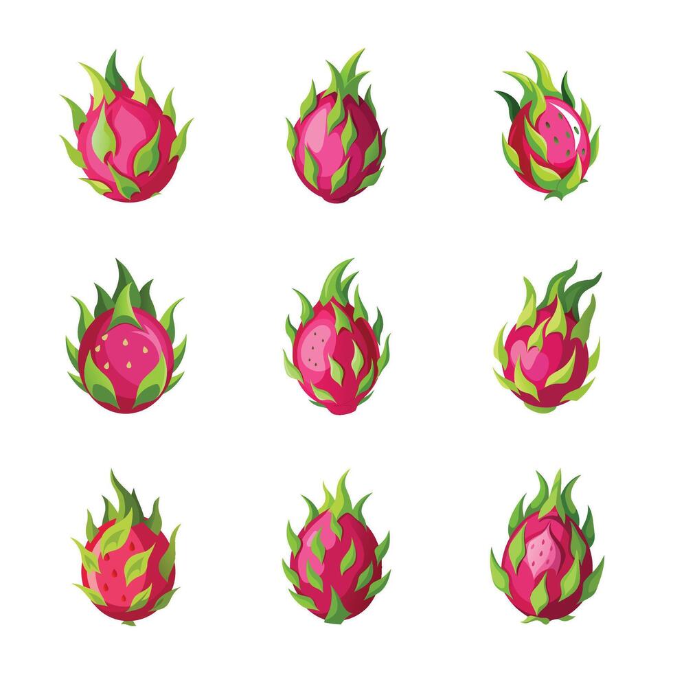 Dragon fruit set vector