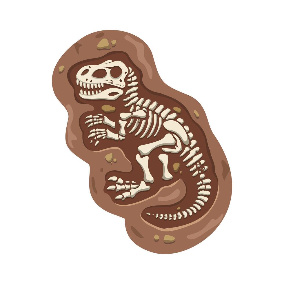 Cartoon T-rex dinosaur skeleton fossil illustration vector