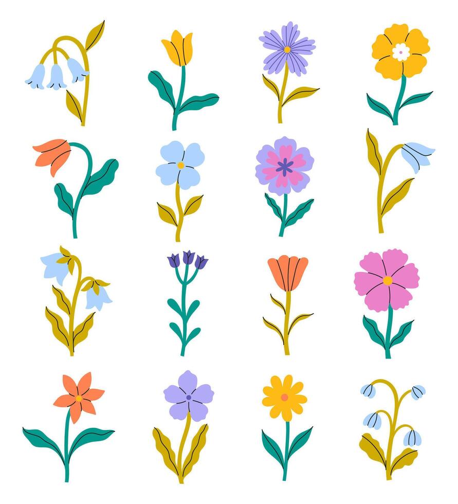 Set of flowers of different shapes and colors isolate on white background. graphics. vector