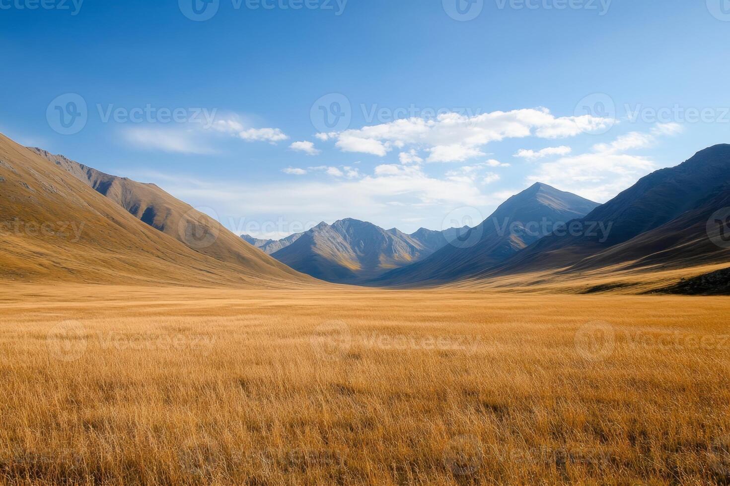 Vast golden grasslands stretch between majestic mountains under a bright blue sky during a clear day in an untouched wilderness photo