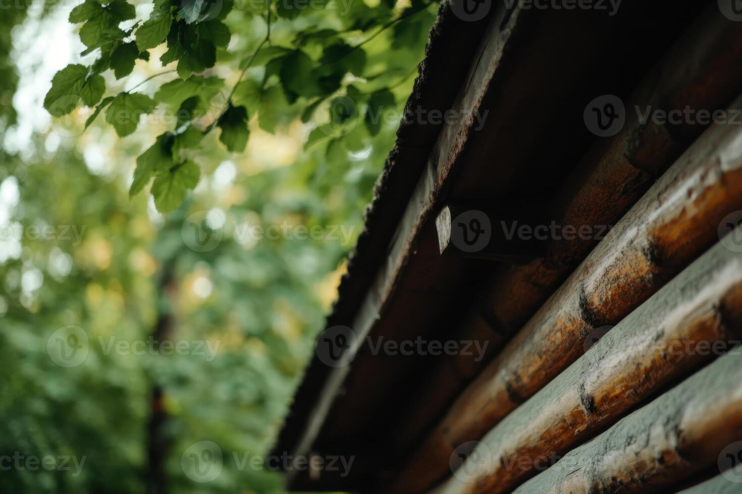 Rustic wooden cabin nestled among lush green trees during daylight in a serene forest setting photo