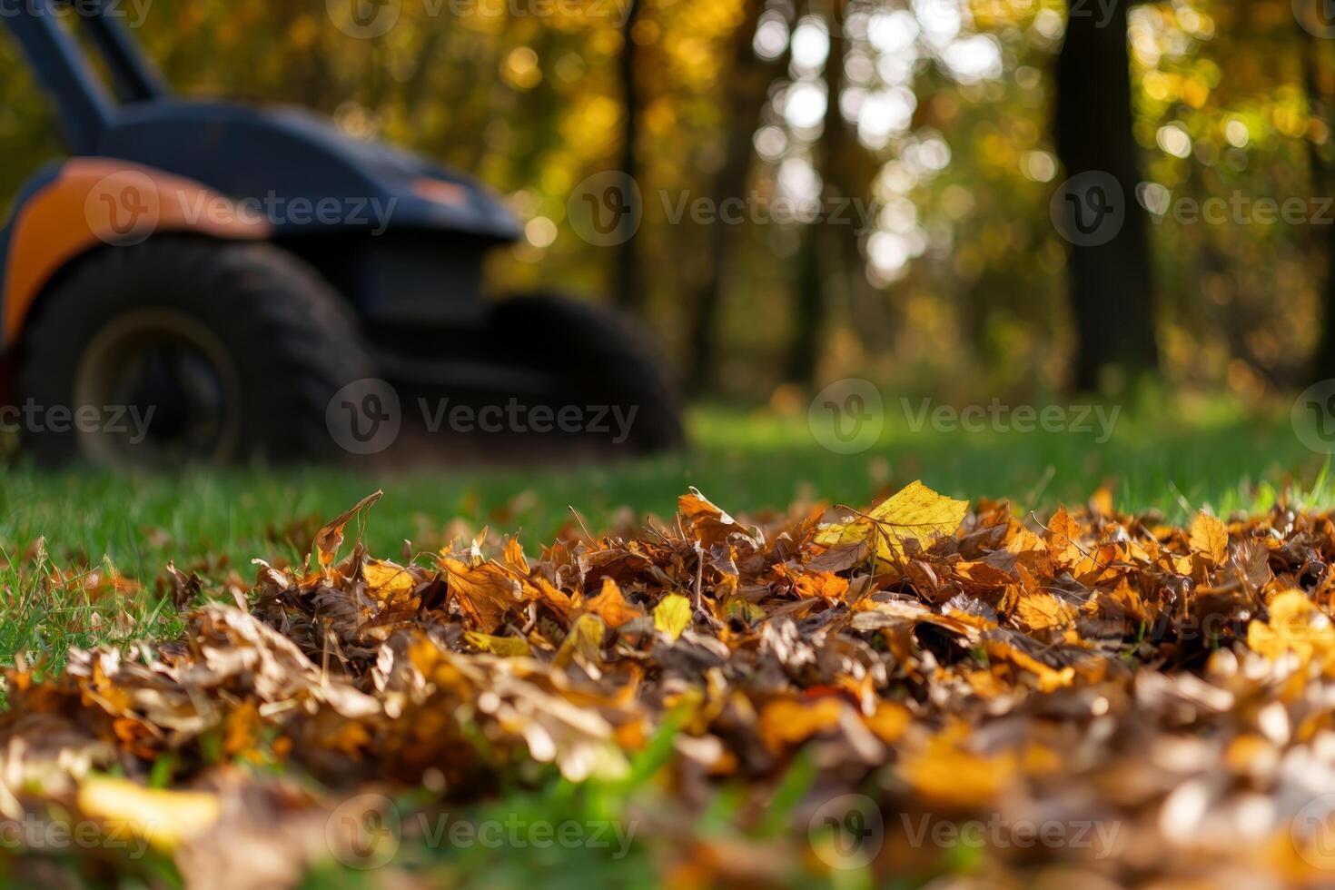 Fall leaves scattered on the ground with a lawn mower in the background during an autumn afternoon in a park photo