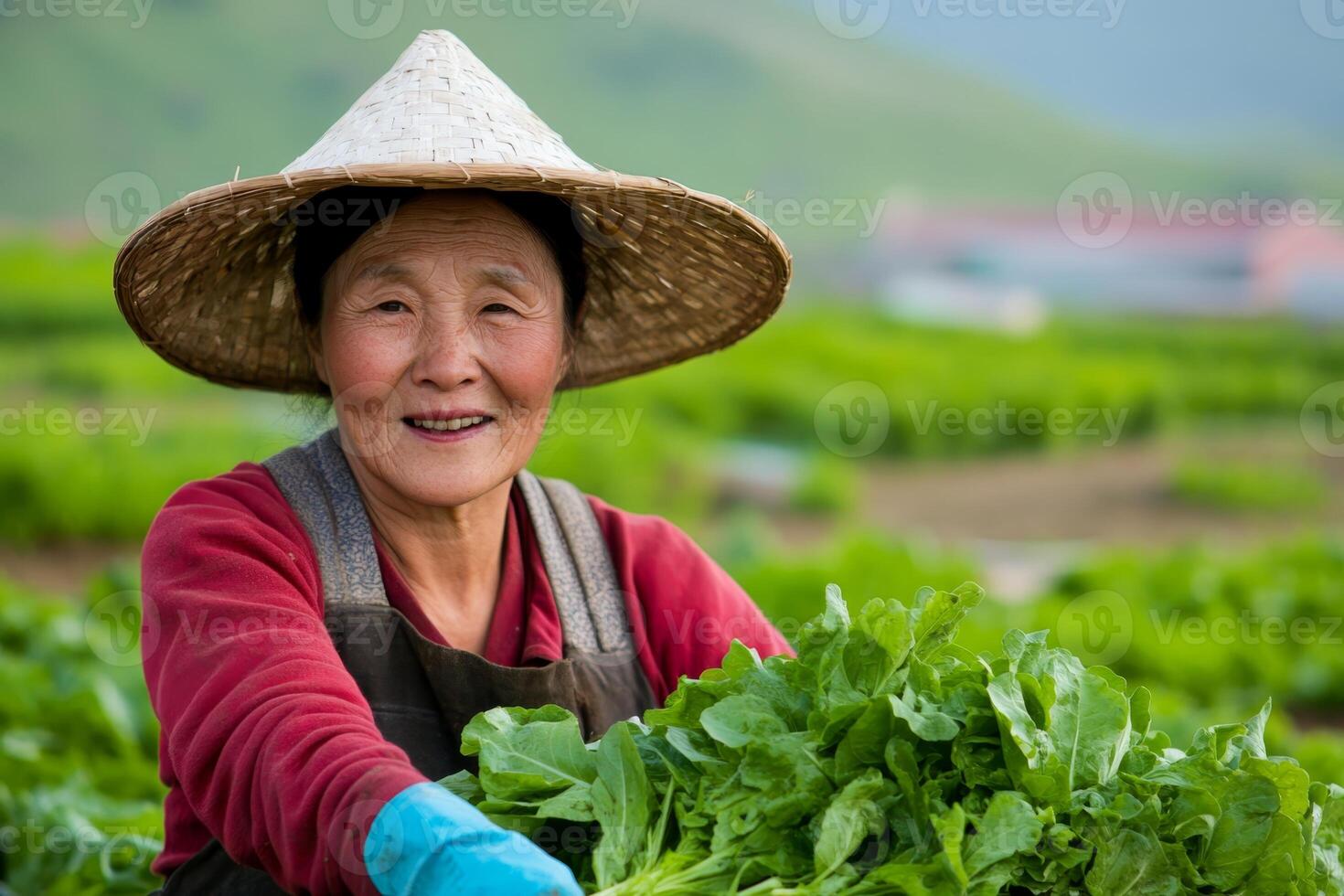 Smiling farmer harvesting fresh greens in a lush garden on a sunny day in rural countryside photo