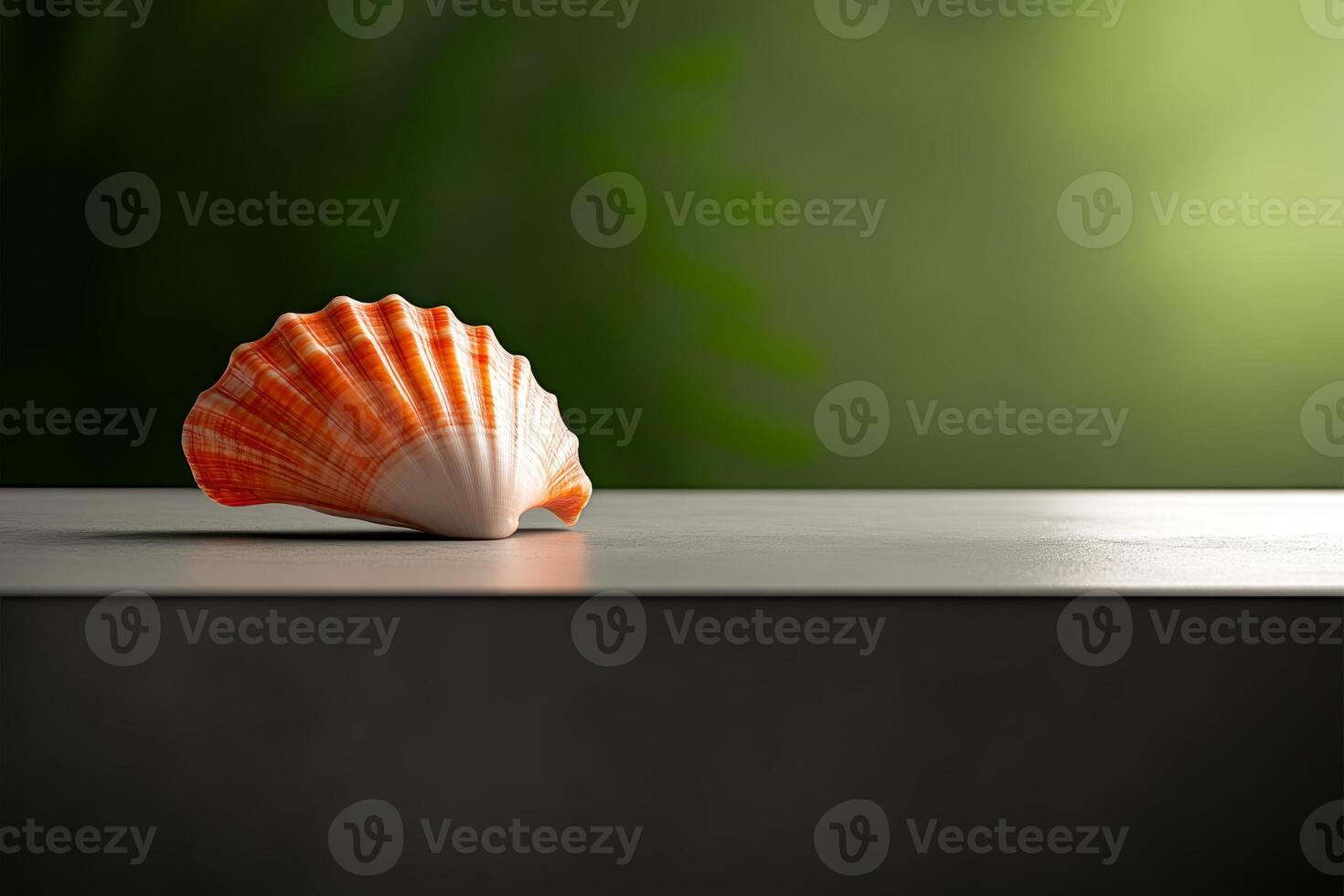 Beautiful conch shell resting on a smooth surface with a soft green background in natural light photo