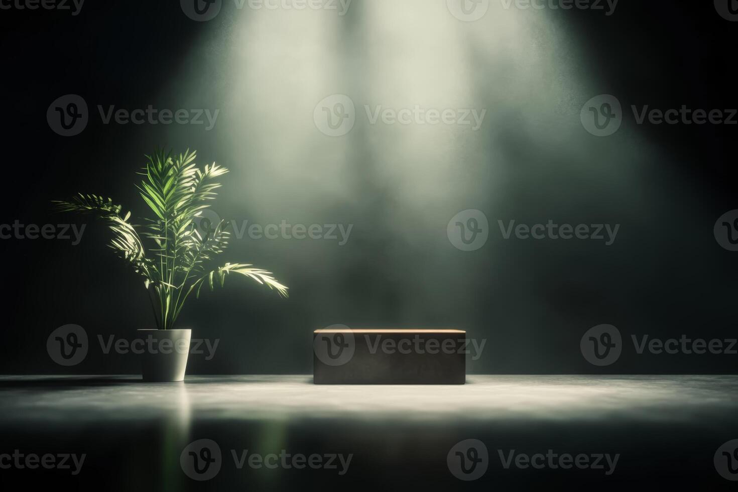 Soft light illuminates a potted plant beside a wooden box in a darkened room with minimalistic decor photo
