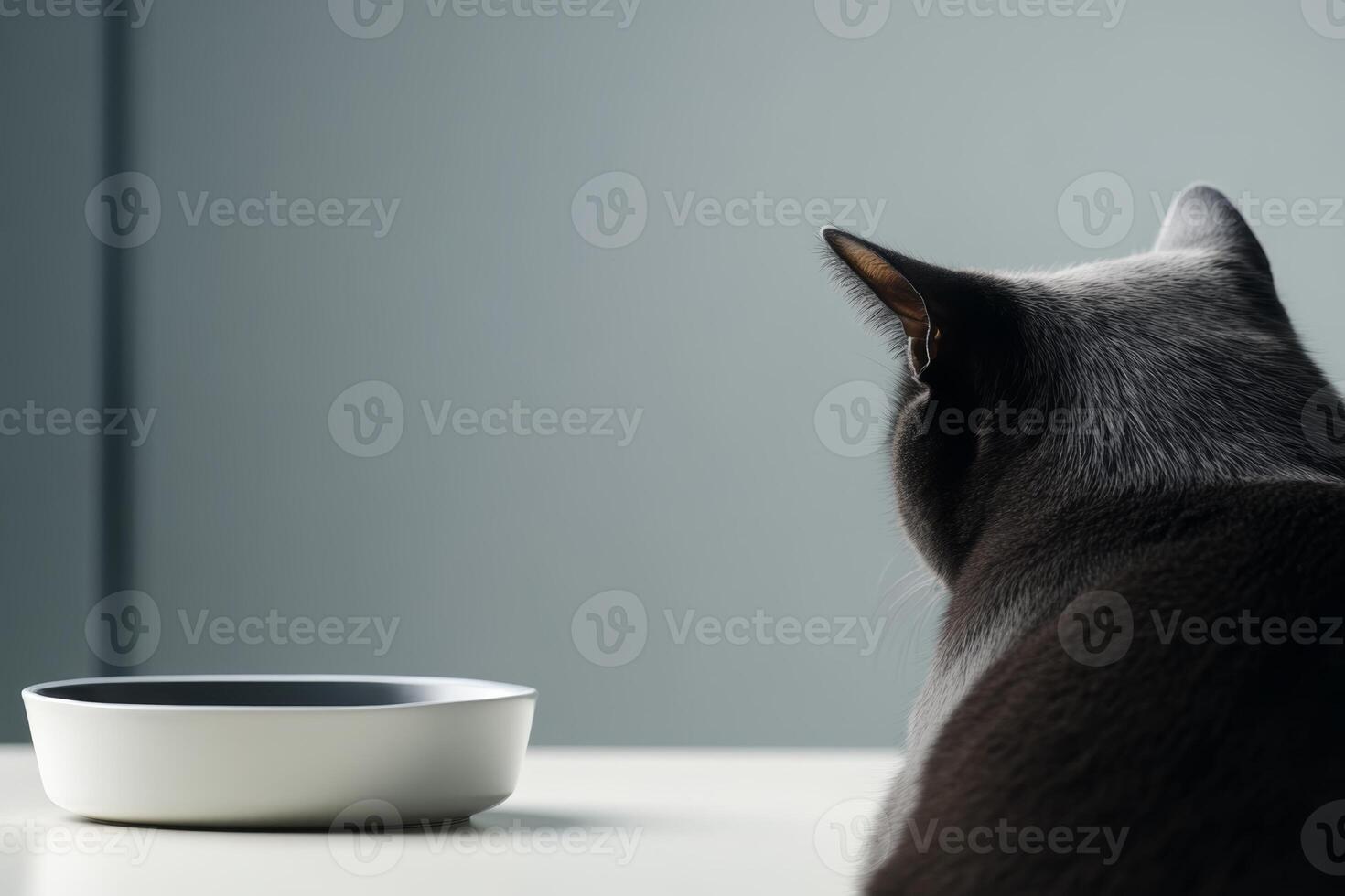 Cat sits patiently beside an empty bowl in a softly lit room during quiet morning hours photo