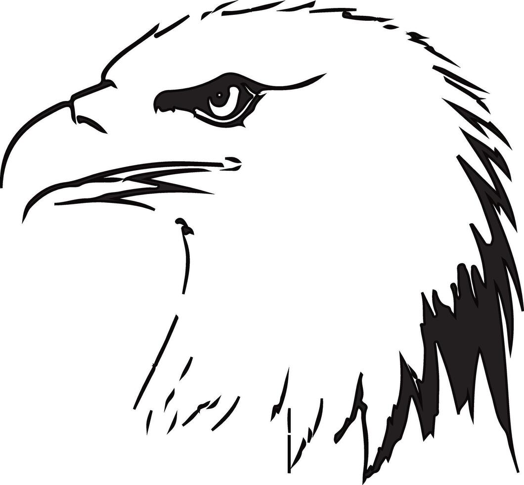 Eagle head art illustration vector