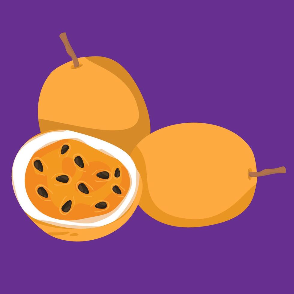 passion fruit fresh flat desiign fruit exotic and fresh fruits vector