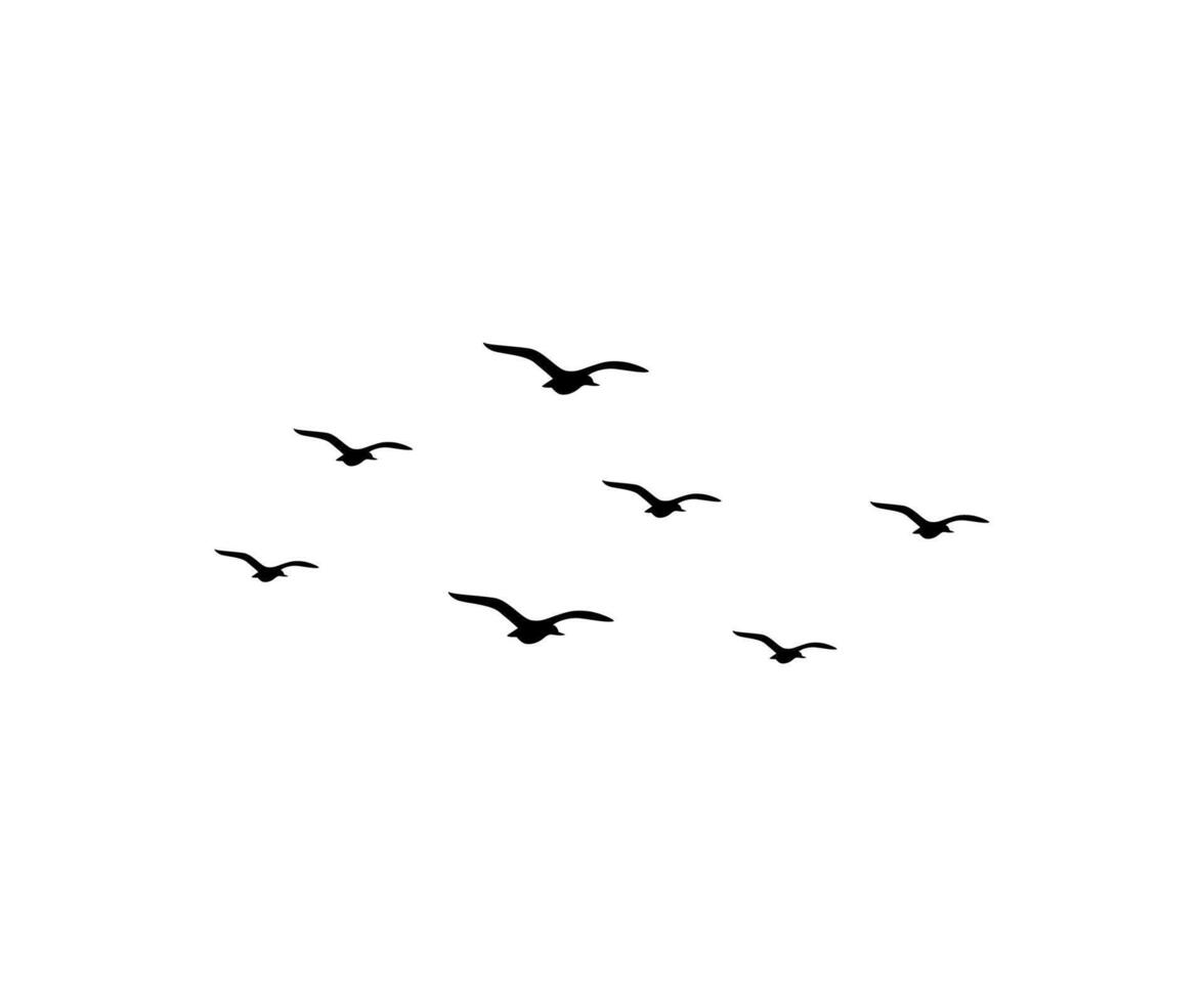 Simple birds flying. A group of silhouetted birds in scattered flight on a white background vector