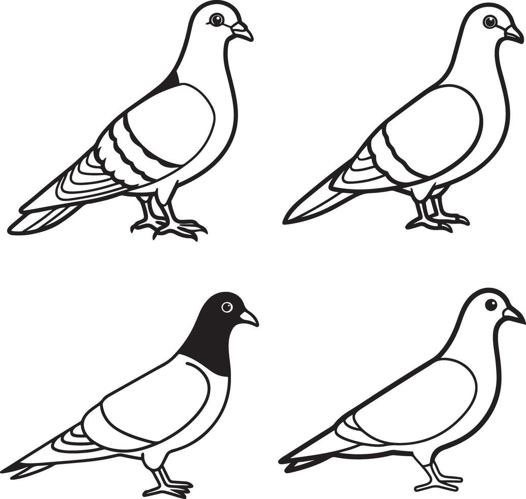 set icon pigeon art image vector