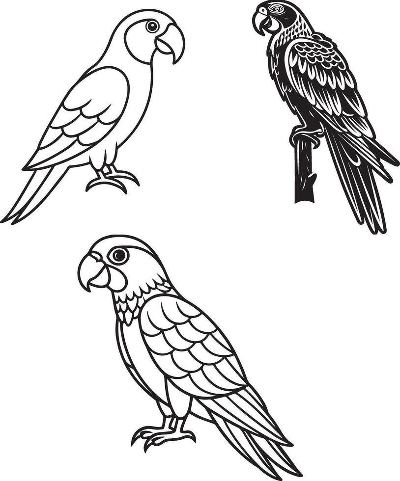 black line art macaw icon set vector
