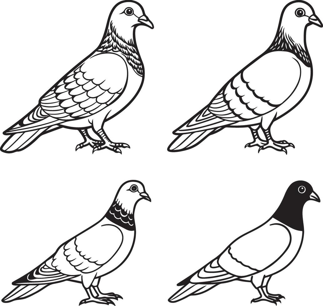 Line art pigeon icon design vector