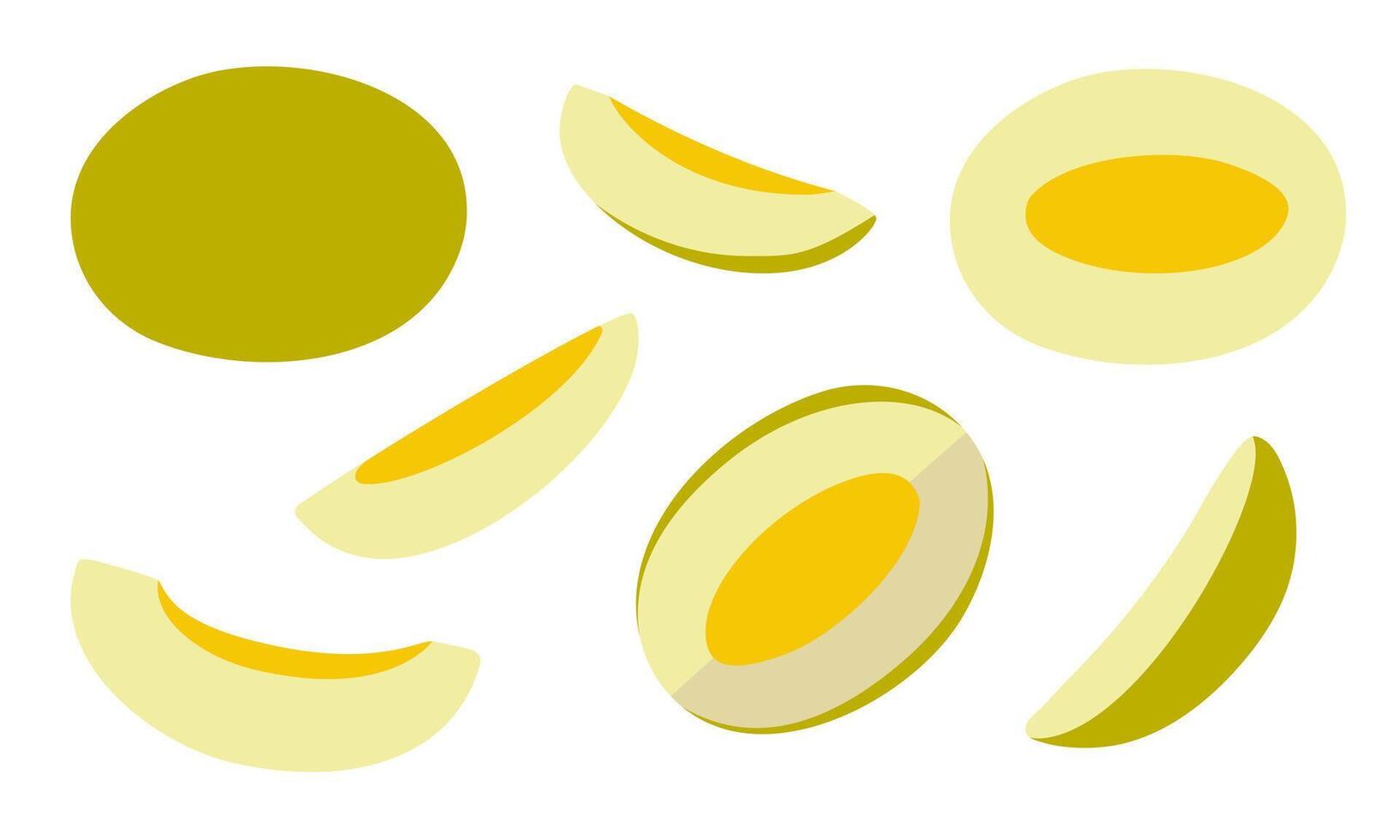 Set of abstract melon. Whole, half and sliced fruit. Vibrant design in a modern, minimal style for textiles, packaging, poster, interior. vector