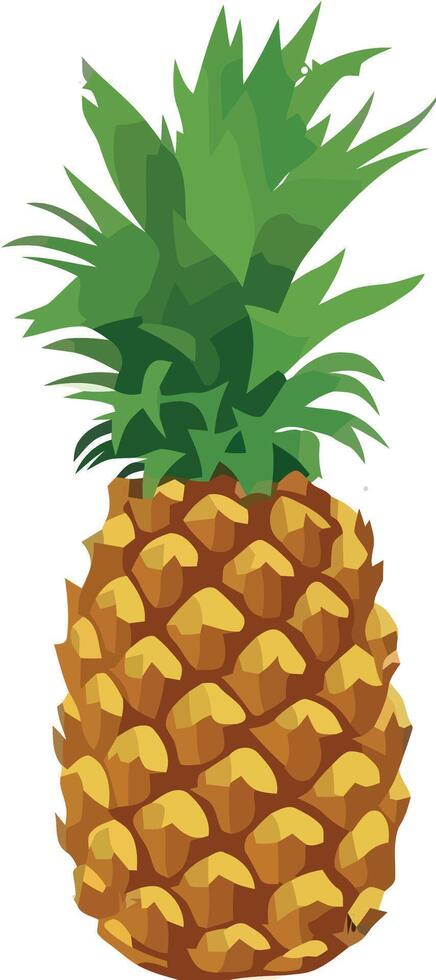 A pineapple is shown on a white background vector