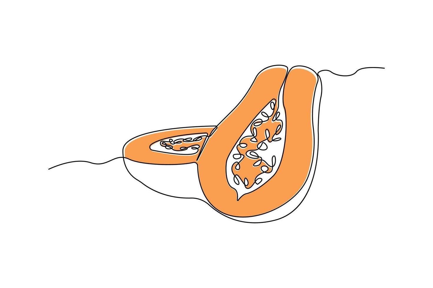Papaya fruit line drawing. Papaya fruit linear icon on white background. vector