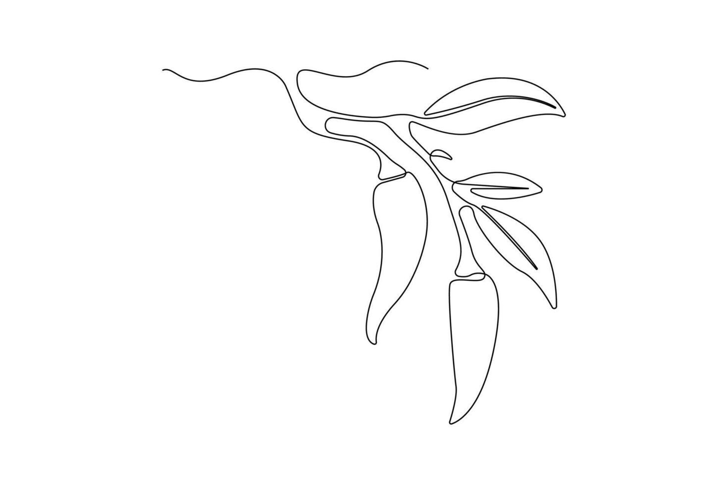 Hand-drawn chili pepper line art drawing. Fresh chili linear icon . vector