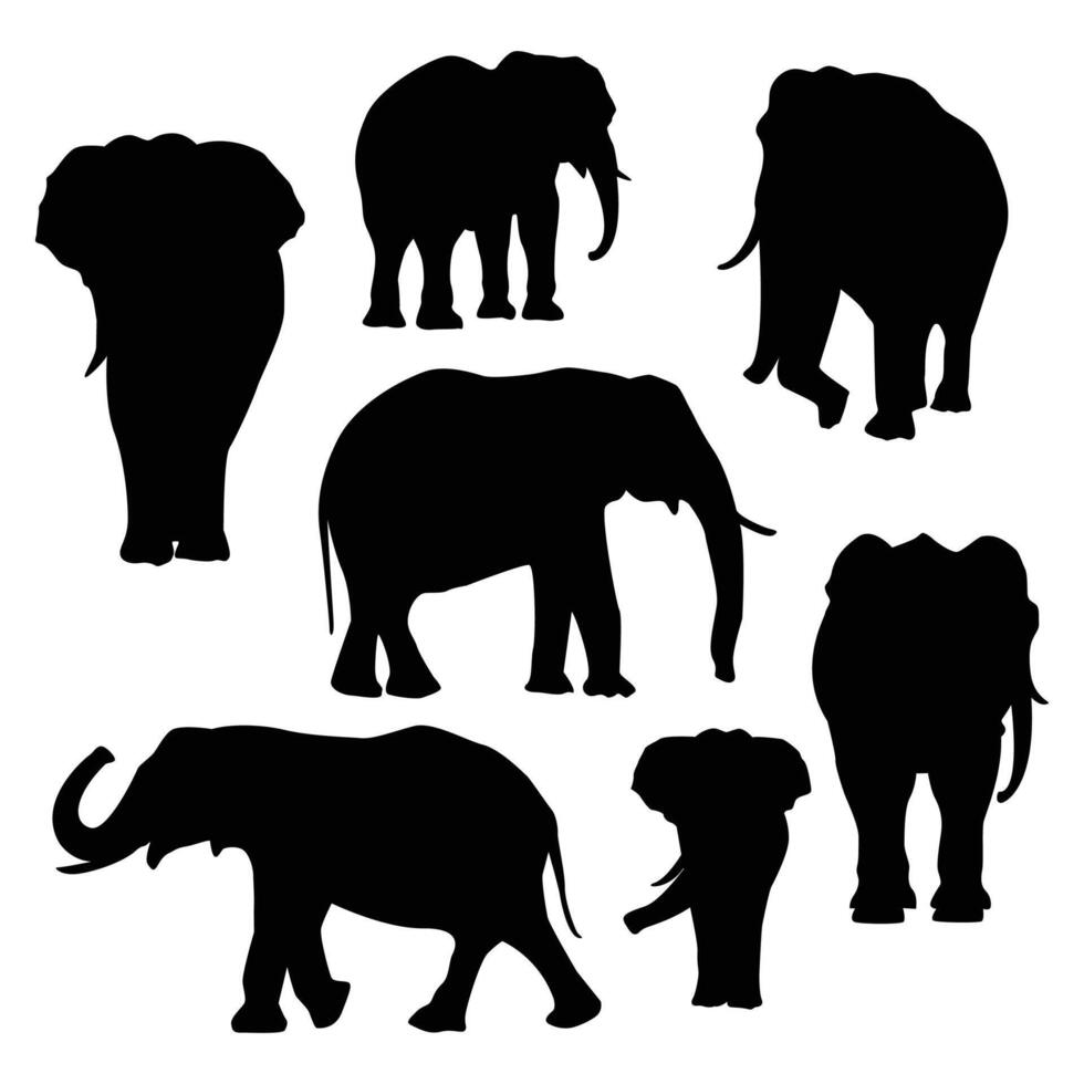 Silhouettes of elephant animal in different poses. black illustrations on white background vector