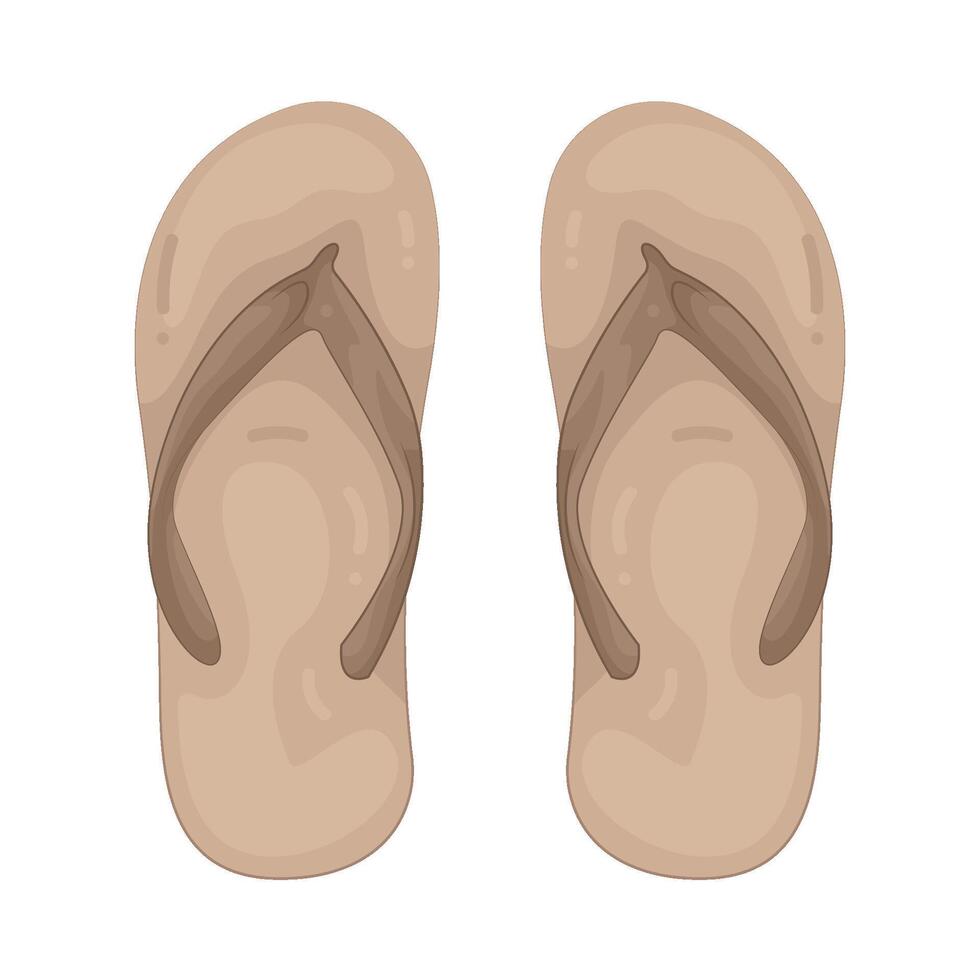 flip flops Illustration vector