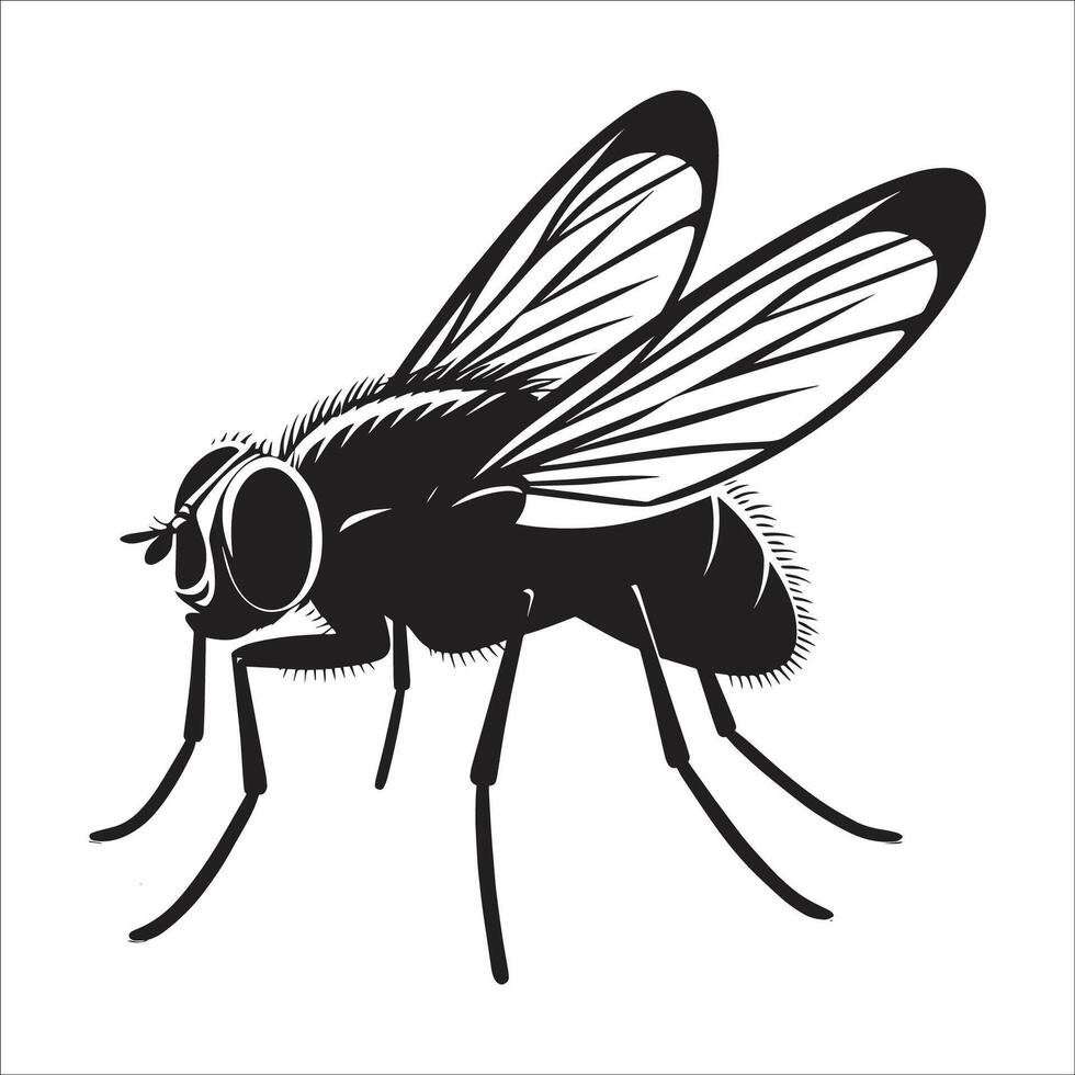 Realistic House Fly Silhouette Clipart Depicting a Flying Bug with Intricate Wing Details and Textured Body for Insect Biology and Wildlife Designs vector