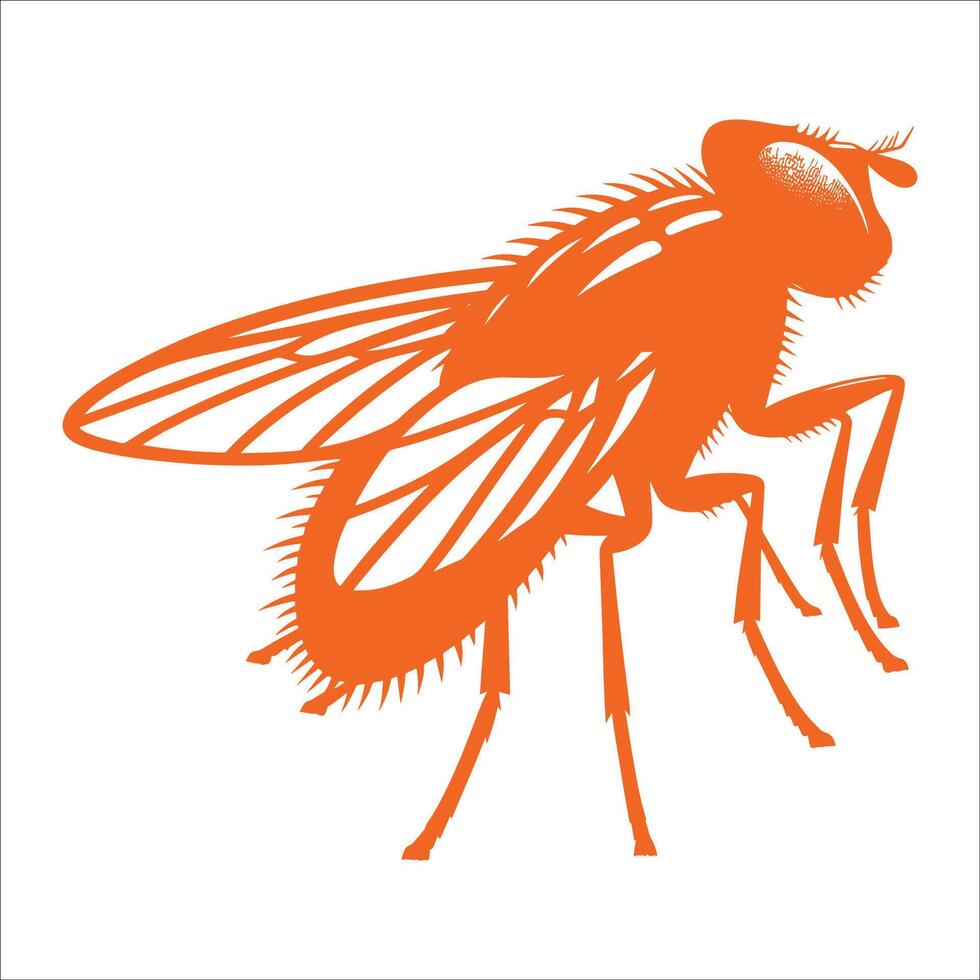 Detailed Housefly Silhouette Illustration of a Fly Insect with Wings and Legs in Artistic Style for Pest Control Designs and Nature Concepts vector