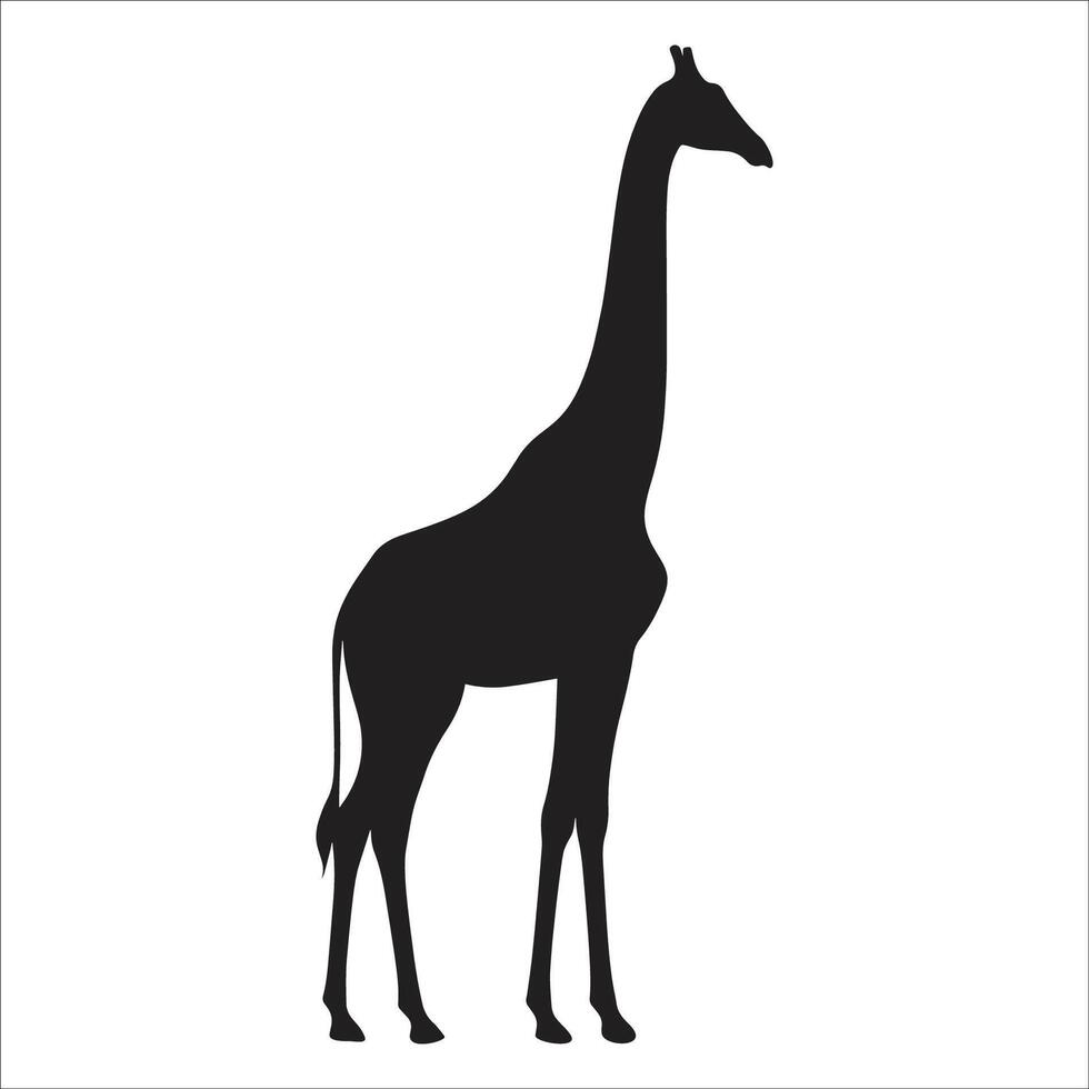Giraffe Silhouette Illustration Elegant Wildlife Animal Design for Safari and Nature Projects On White Background vector