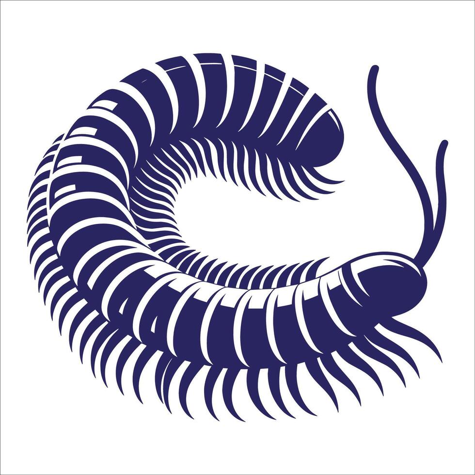 Intricate Centipede Illustration with Detailed Segmented Body and Numerous Legs in Dark Blue vector