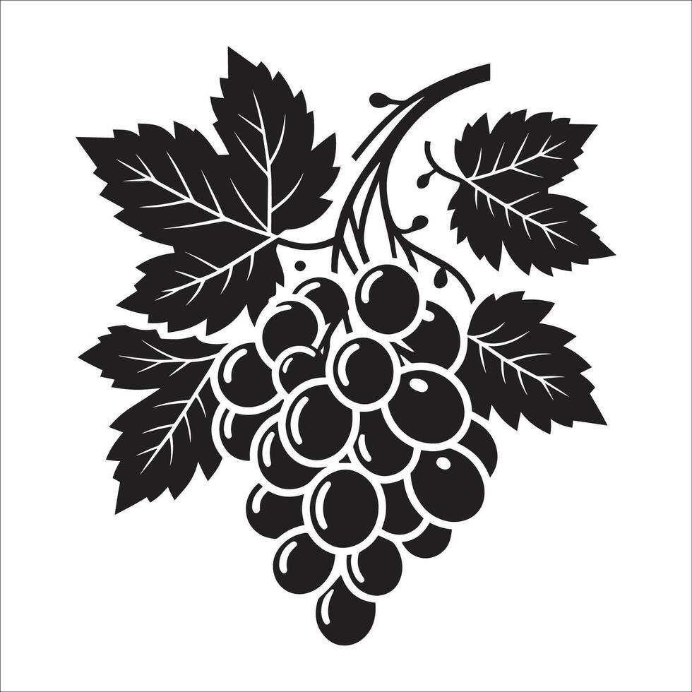 Black grapes on a branch with leaves illustration vector