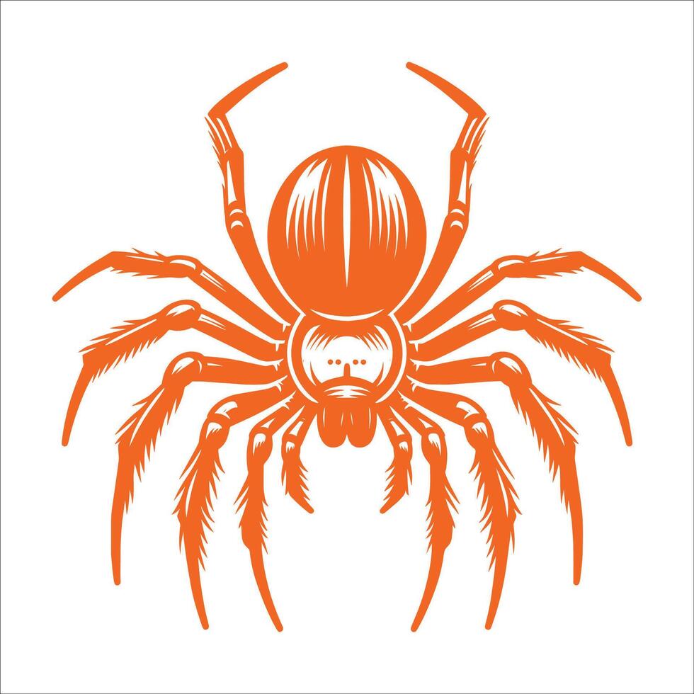 A spider icon on a white background vector