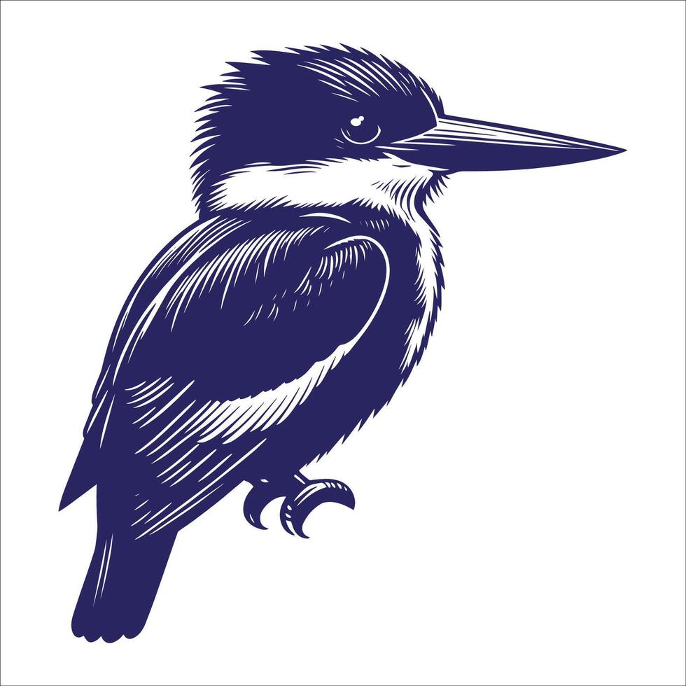 A black and white illustration of a kingfisher vector