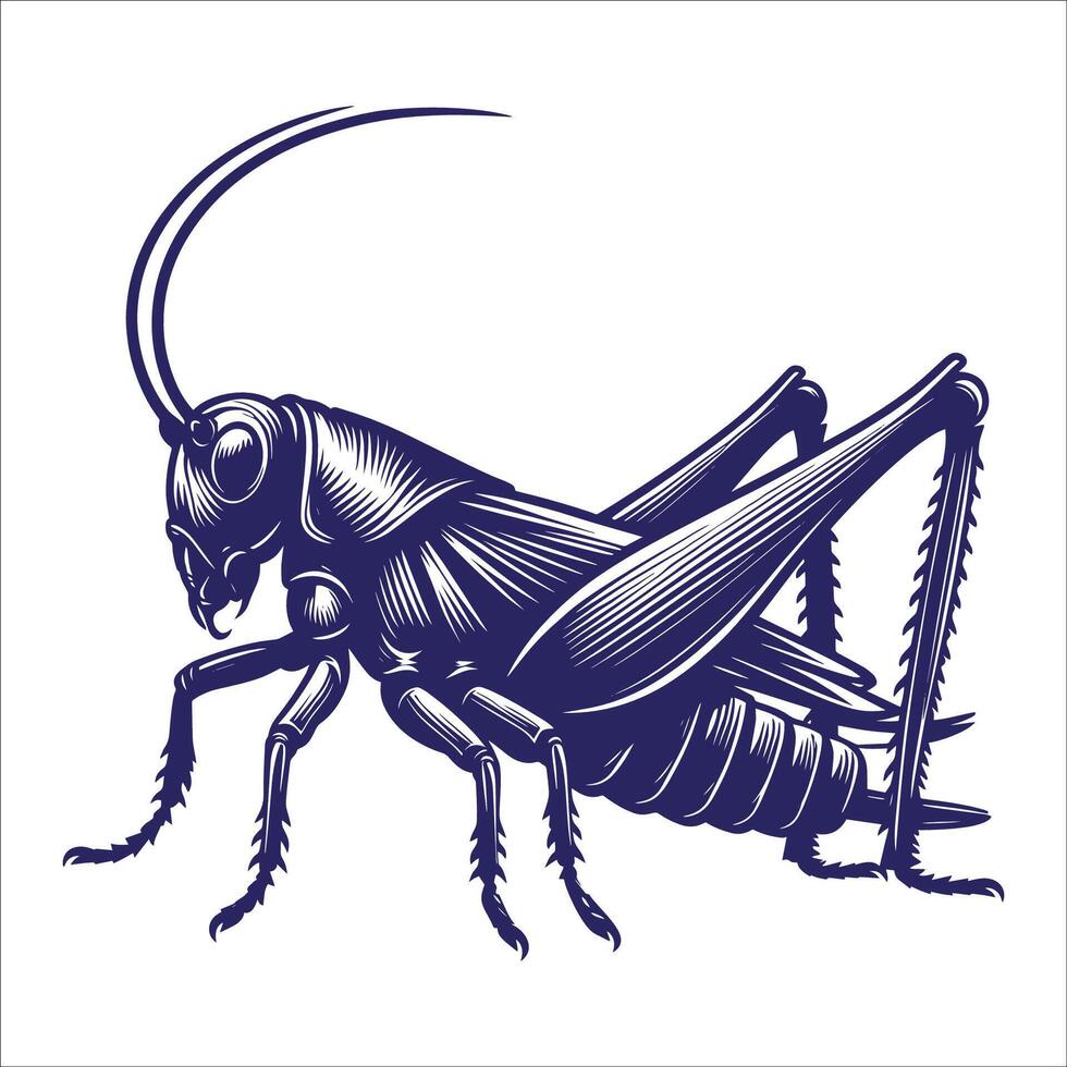 A grasshopper with long legs and long antennae vector