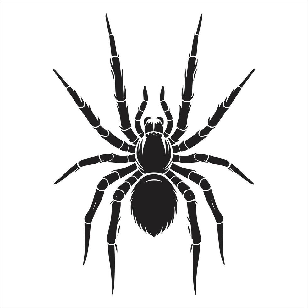 A black spider on a white background vector