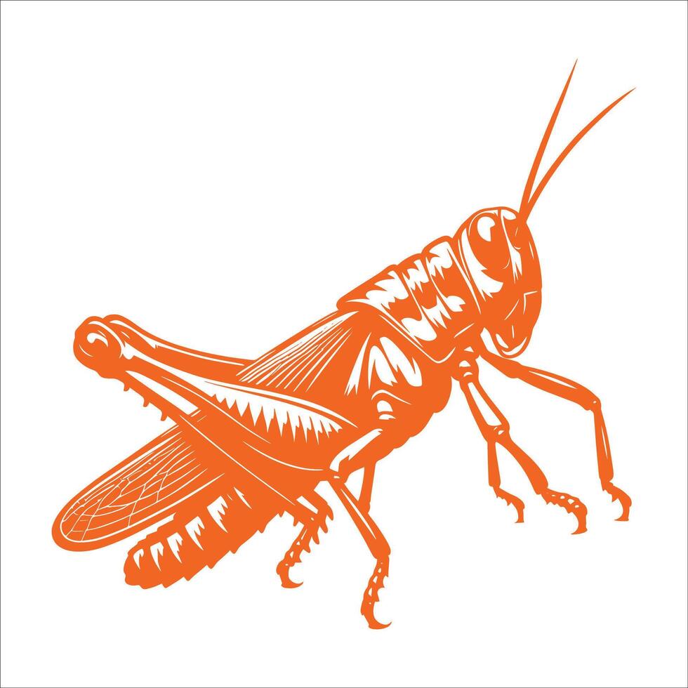 A grasshopper in orange on a white background vector