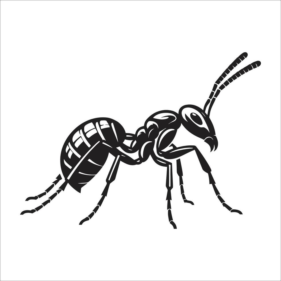 Detailed Black and White Ant Illustration with Bold Lines and Shading for Educational and Artistic Purposes vector