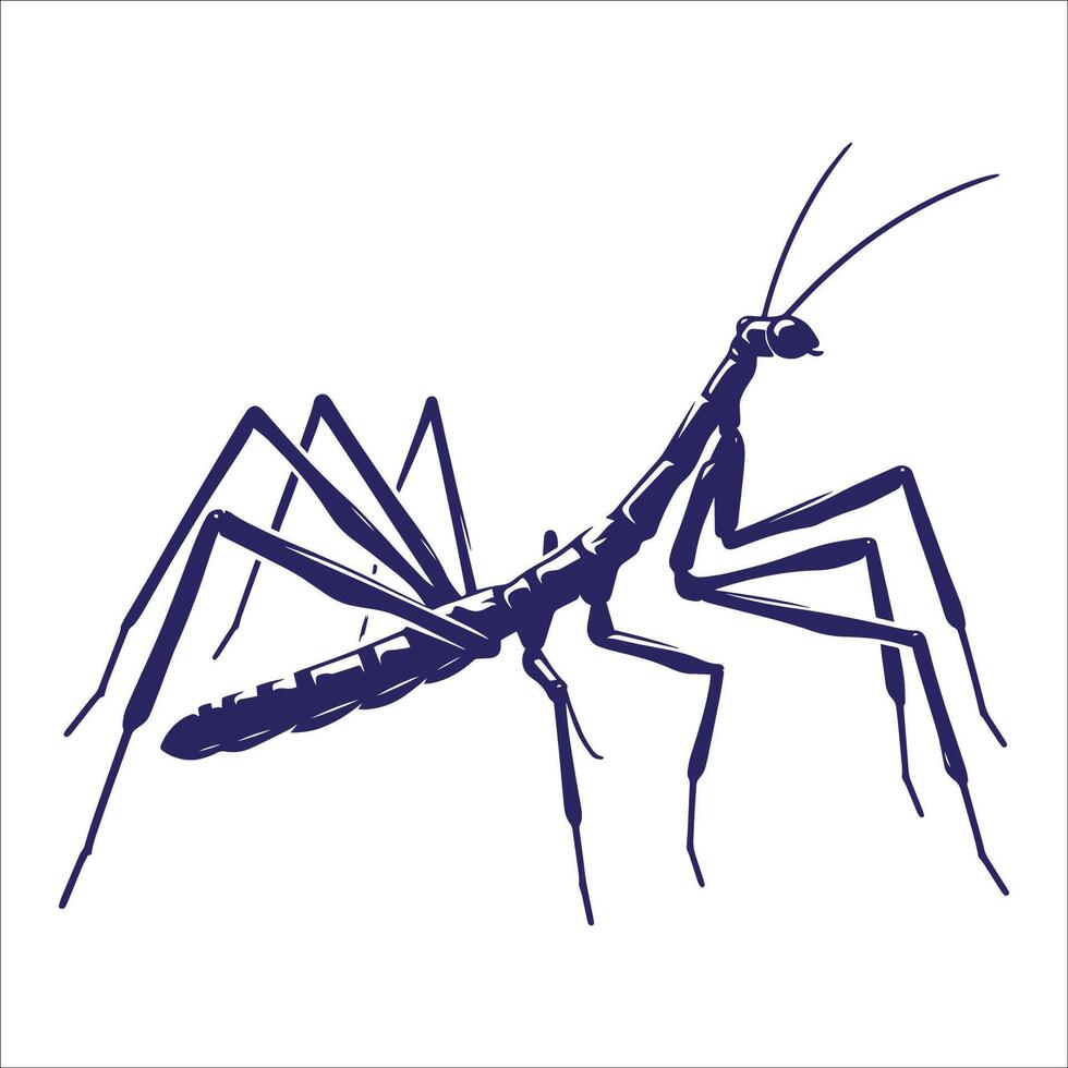A large mantisce with long legs and long antennae vector