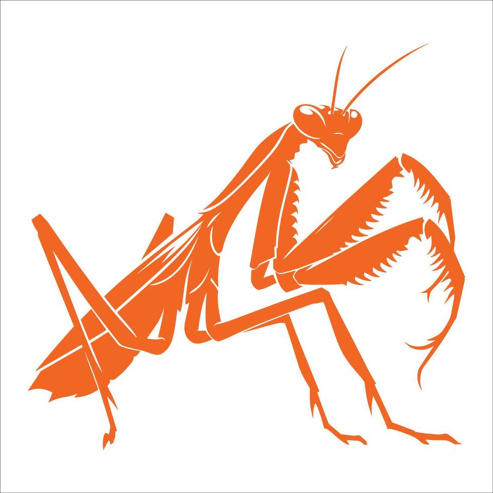 Praying Mantis Illustration on White Background Tribal Insect Design vector