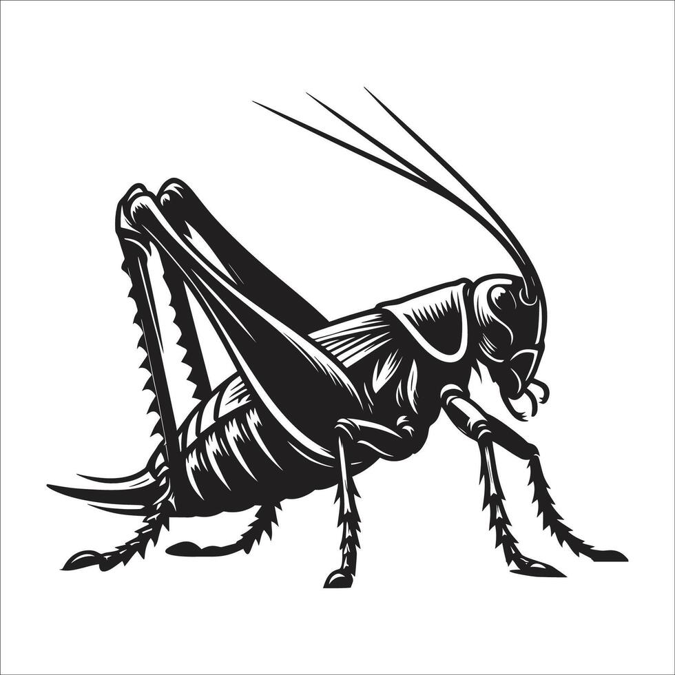 A black and white illustration of a grasshopper vector