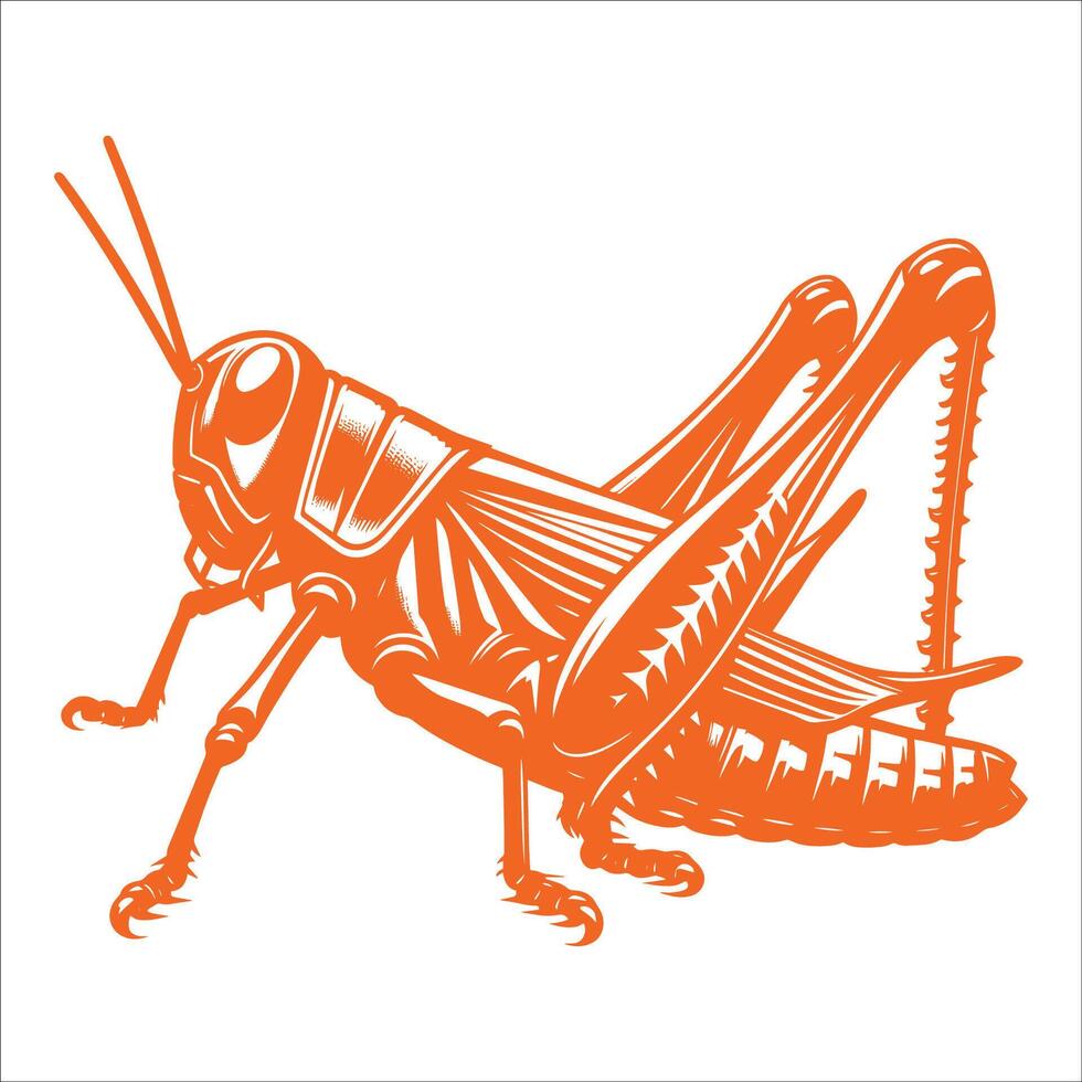 A grasshopper in orange on a white background vector