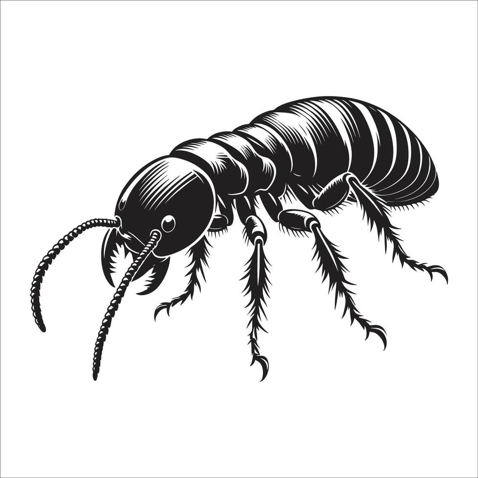 An insect with long legs and a long tail vector