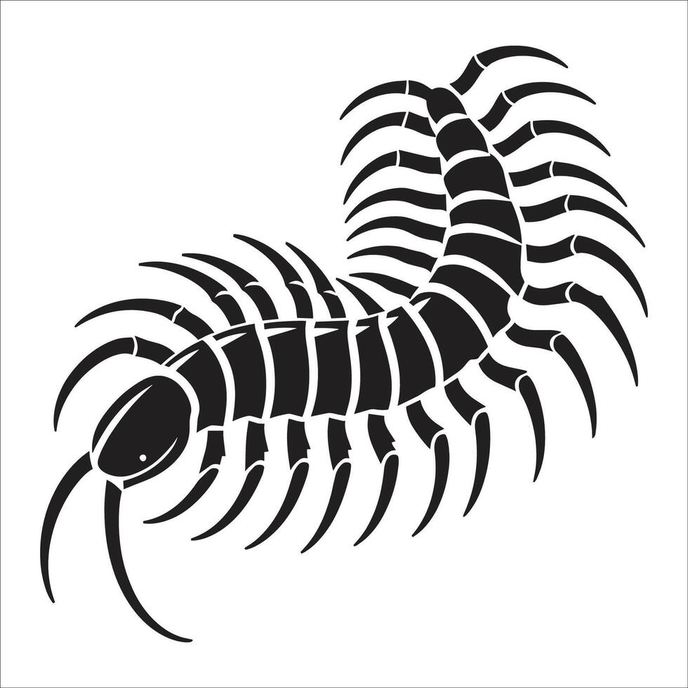 A black and white centipede on a white background vector