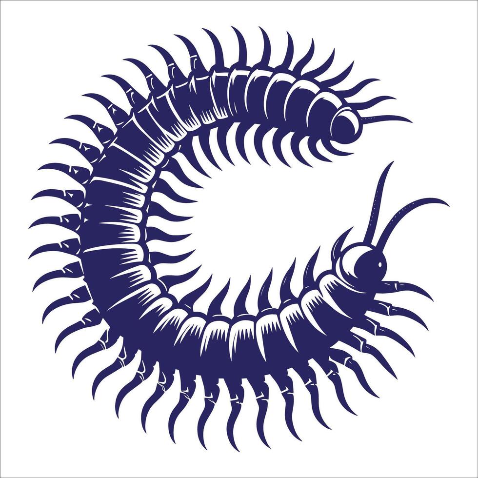 A Chinese Red-Headed Centipede with long legs and a long tail vector