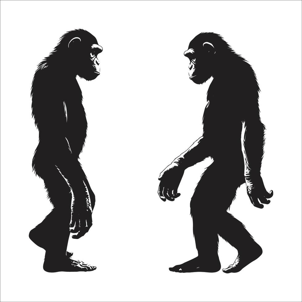 Two different apes are shown in silhouette vector