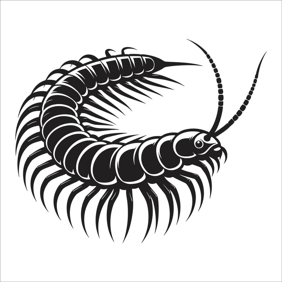 A black and white centipede on a white background vector