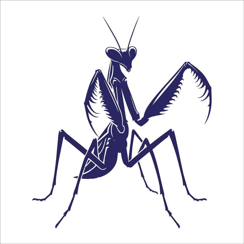 Intricate and Detailed Praying Mantis Art with Predatory Stance and Nature-Inspired Design vector