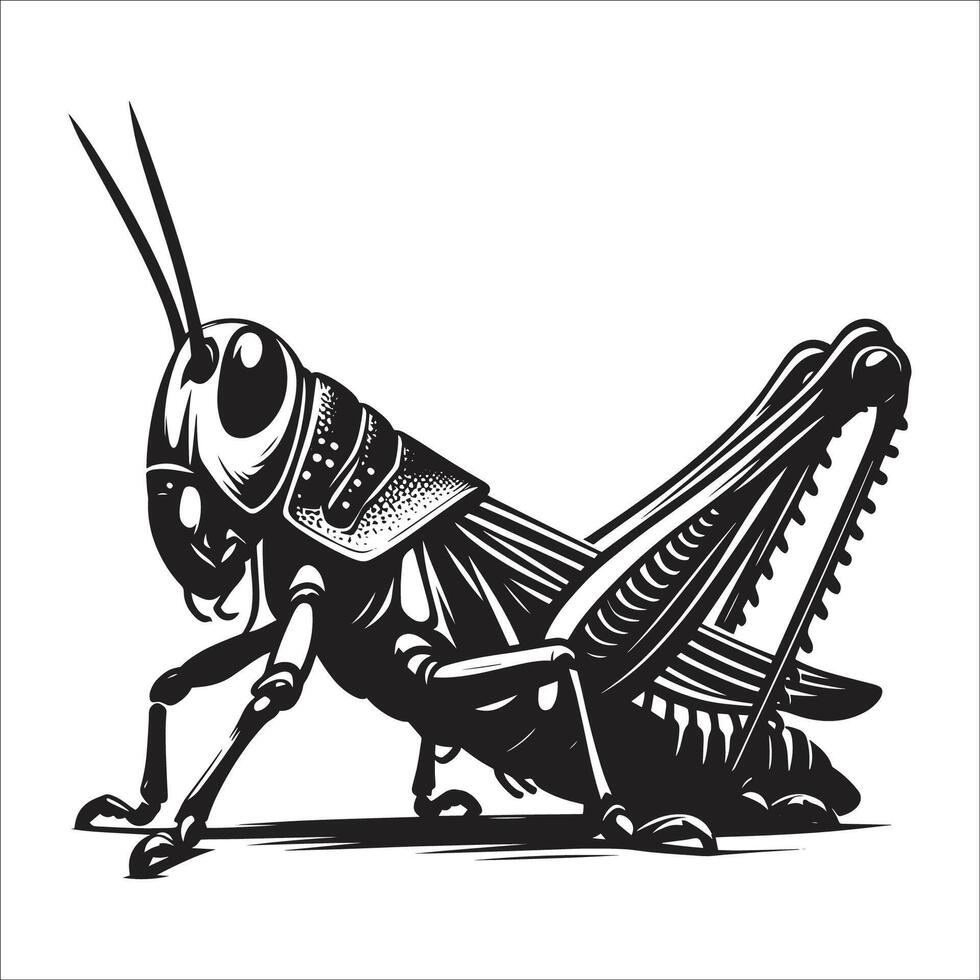 A black and white illustration of a grasshopper vector