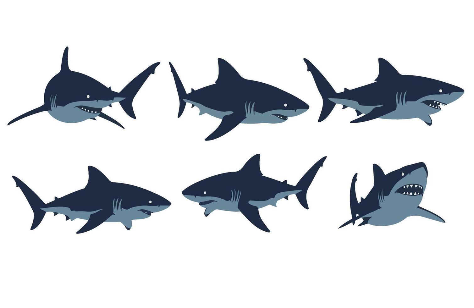 Shark Cartoon Digital Character Ocean Predator Sketch Art vector