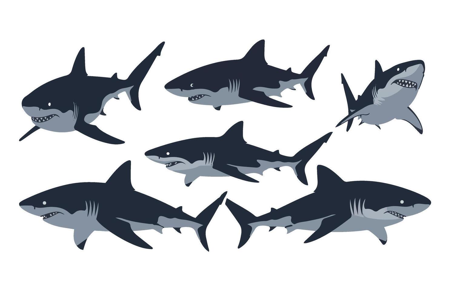 Shark Cartoon Ocean Life Illustration Artistic Theme Art vector