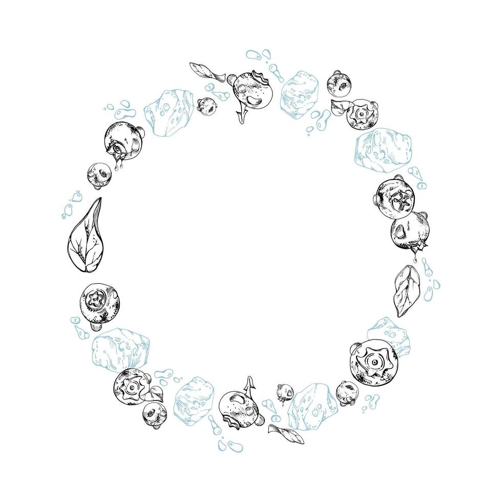 Blueberry blackberry flying in water splash with drops and plant leaves, ripe summer forest berry, hand drawn in ink . Isolated wreath frame illustration. Restaurant, cafe menu, farmers market vector